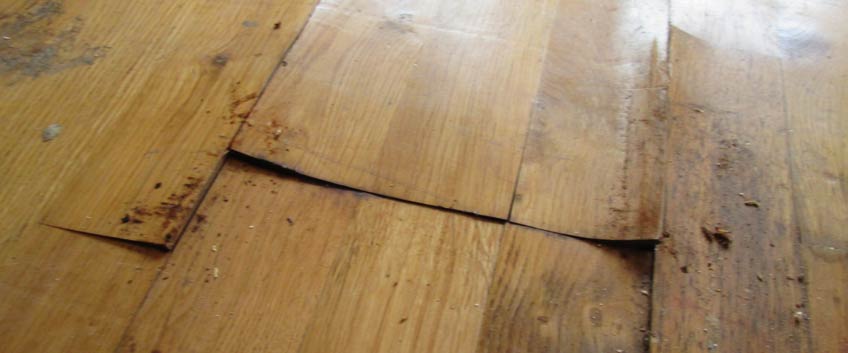What type of wood floor to choose when moisture is an issue? | Engineered Floor Fitters